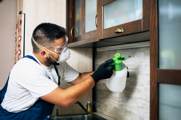 Best Best Pest Control Companies  in Clayton, GA