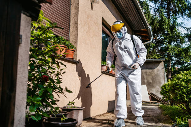 Best Pest Prevention Services  in Clayton, GA