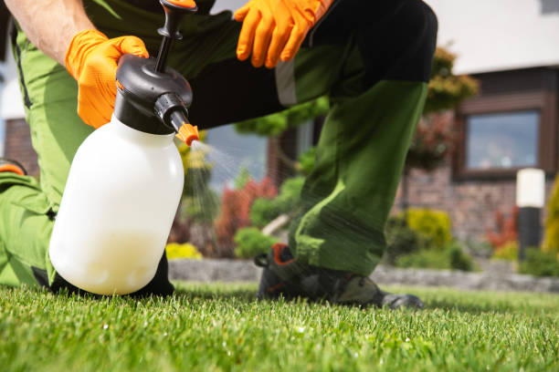 Best Local Pest Control Services  in Clayton, GA