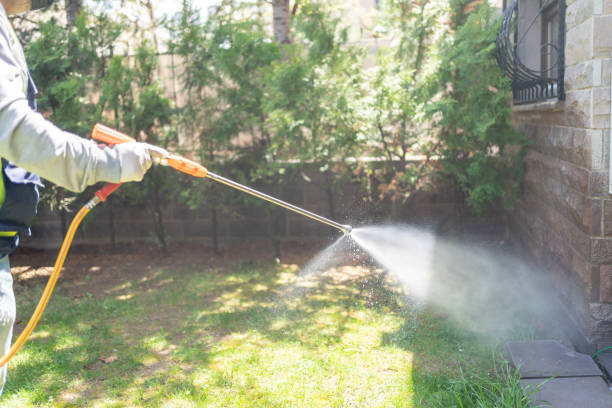 Reliable Clayton, GA Pest Control Solutions