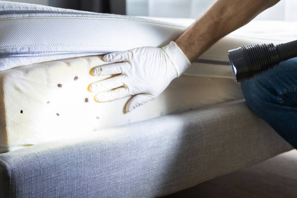 Best Exterminator Services  in Clayton, GA