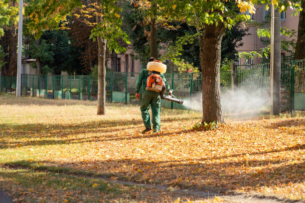 Best Exterminator Services  in Clayton, GA