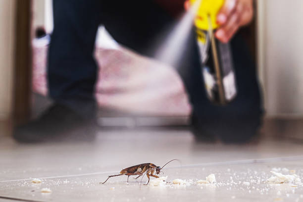 Best Residential Pest Control  in Clayton, GA